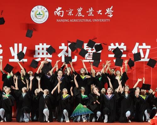 China’s graduate glut: millions enter a job market with little use for them